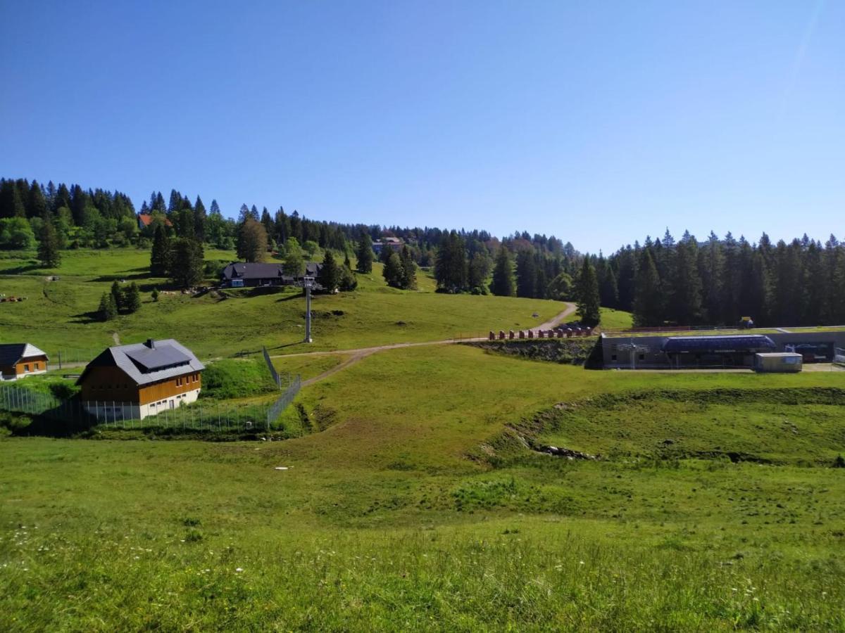 Feldberg - Residenz Grafenmatt Apartment Feldberg (Baden-Wurttemberg)
