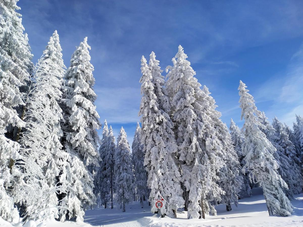 Апартаменты Feldberg - Residenz Grafenmatt