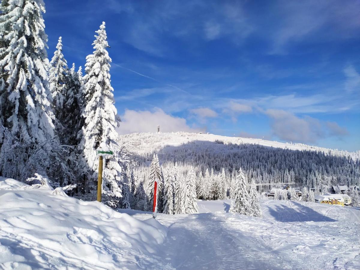 Feldberg - Residenz Grafenmatt Апартаменты Фельдберг