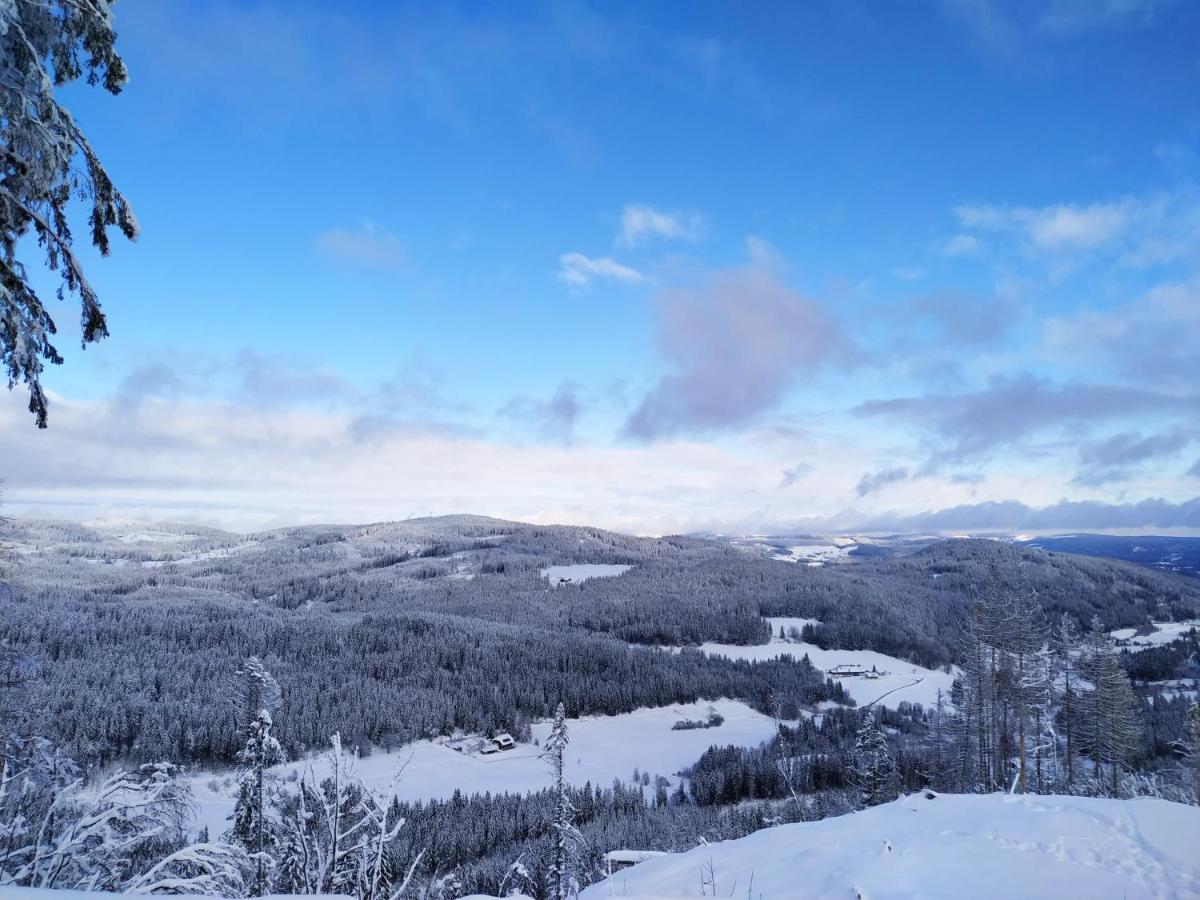 Апартаменты Feldberg - Residenz Grafenmatt *
