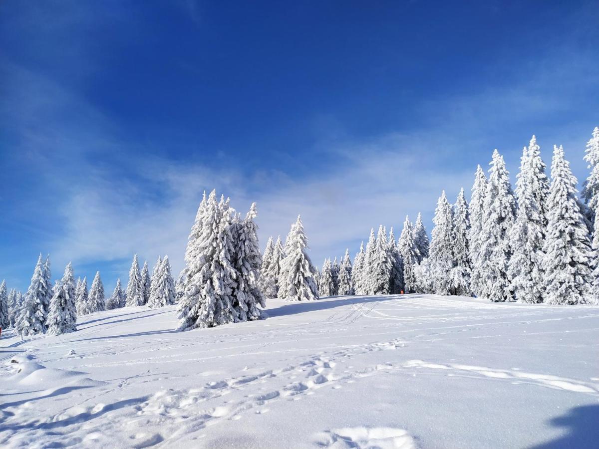 Feldberg - Residenz Grafenmatt Фельдберг
