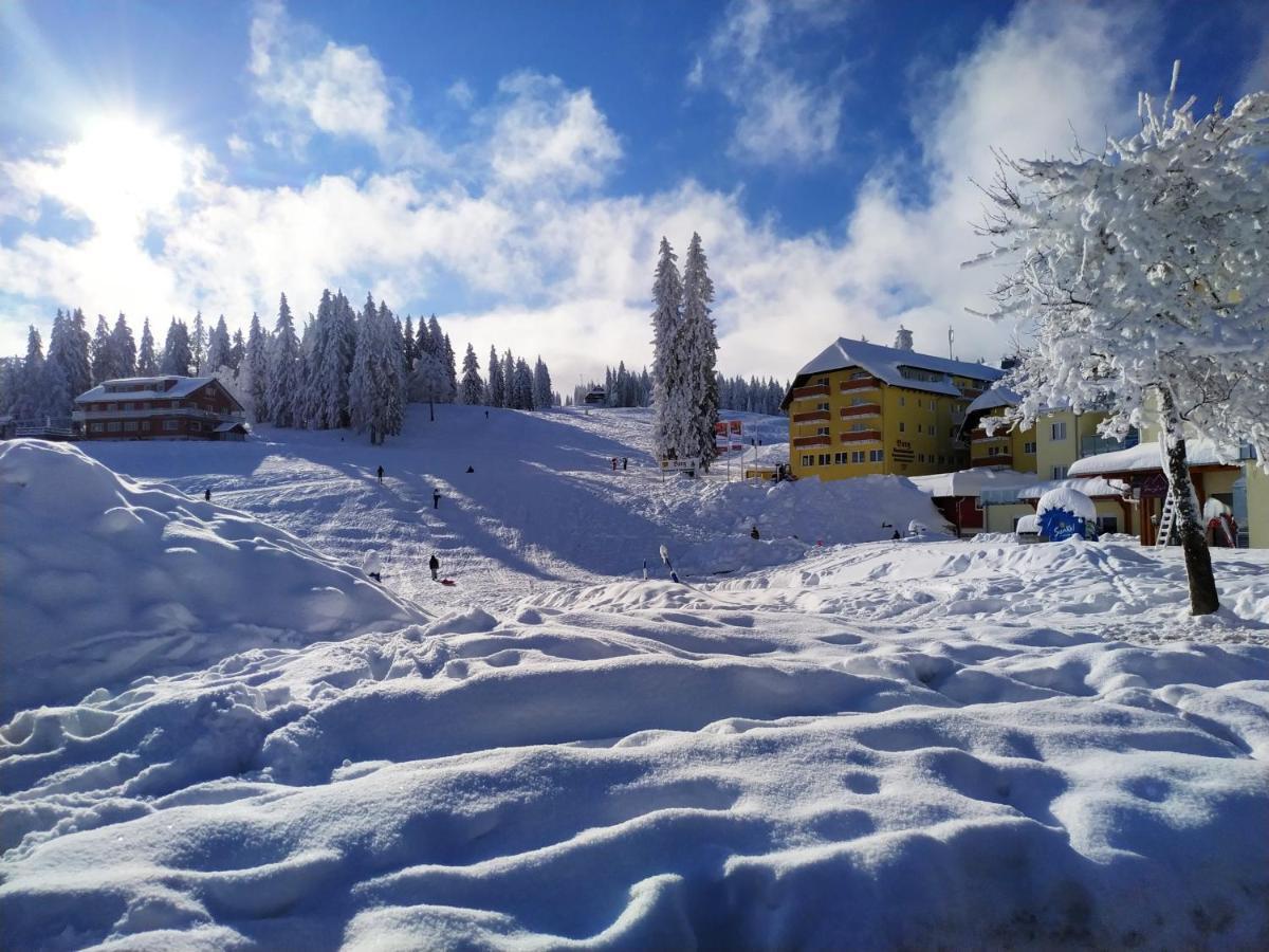 Feldberg - Residenz Grafenmatt Апартаменты Фельдберг